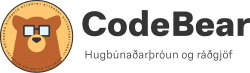 Hugbúnaðarsérfræðingur / Software Developer